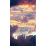 Lilgirlsunsetss34 life