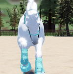 Life's better in a saddle!