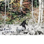 Bigfoot hunting squad