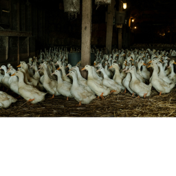 Farm Simulator X