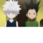 Gon and k I ll ua fan club