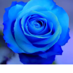 ThesuperbestM