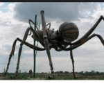 Ants empire 1st