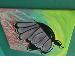 The butterfly SQUAD