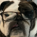 Puppydog Productions