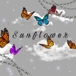 S u n F l o w e r !