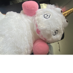 Mr.teddy squad
