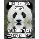 Panda's Before Ninja's