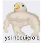 Los sub de ignacio <3