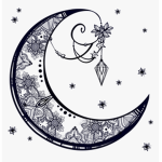 Crescent Moon's Book Club