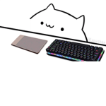 dam kuzynowi robux