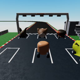 RACE OF THE RANDOM