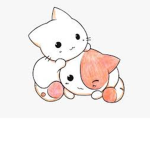 Cool cats buts don't forget cute!