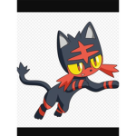The super Evan cat group
