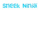Sneek ninja