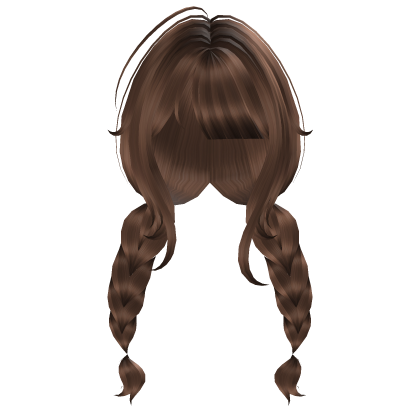 Cute Brown Braids