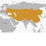 EMPIRE OF MONGOL