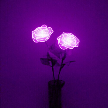 Purple Roblox decal