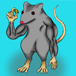 Cult of the Rat