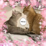 тяχѕнєѕѕєи¢є