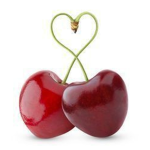 FRUIT COLLAB ! !