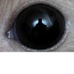 THEY'RE WATCHING
