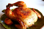 chicken mania