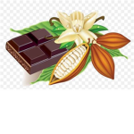 ~Cocoa Beans~