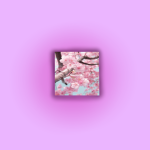 - blossomss -