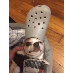 AAAAAAAAAAAAAAAA