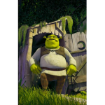 Shreks nation