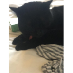 OMGspuad