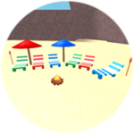 The Beach!