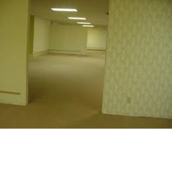 The backrooms 