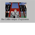 the battle ninjas of epicness