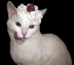 ###### r3j3cts