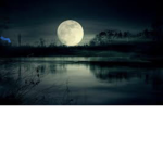 Moonlight_squad:)