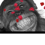MONKE FANS AND CLUB