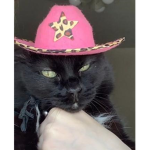 kitty x