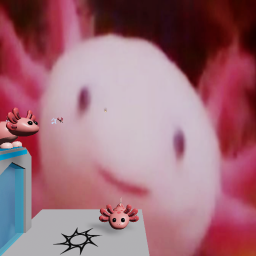 Axolotl obby