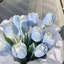 ♡