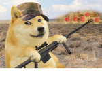 The Doge Corp. Army!
