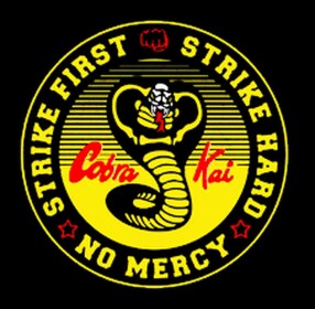 The Cobra Kai Dojo