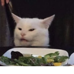 -Pickle Cats-