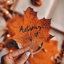 gfx payments 🍂