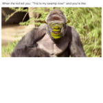 super sussy shrek