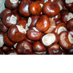 hadesiak33565