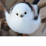 토끼 무리단