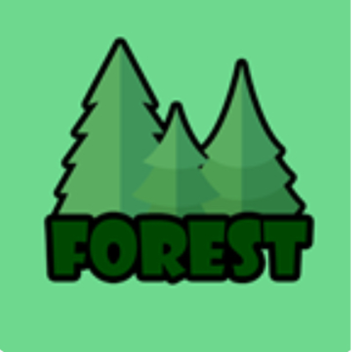 🌲Forest