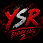 YSR - BL2